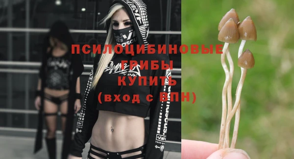 mix Абаза