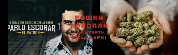 ГАЛЛЮЦИНОГЕННЫЕ ГРИБЫ Абинск
