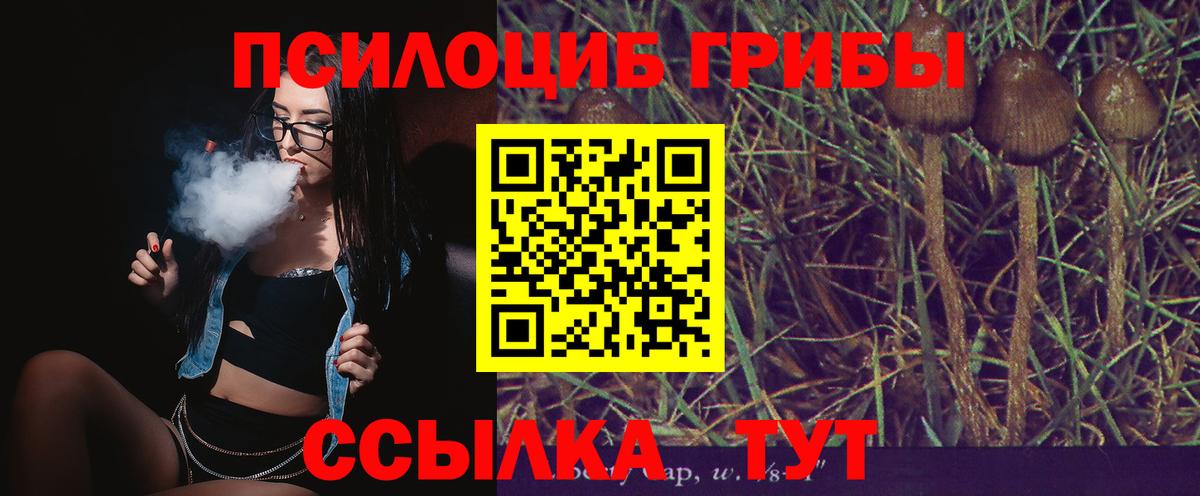 Галлюциногенные грибы Cubensis  Вход с VPN  Оренбург 